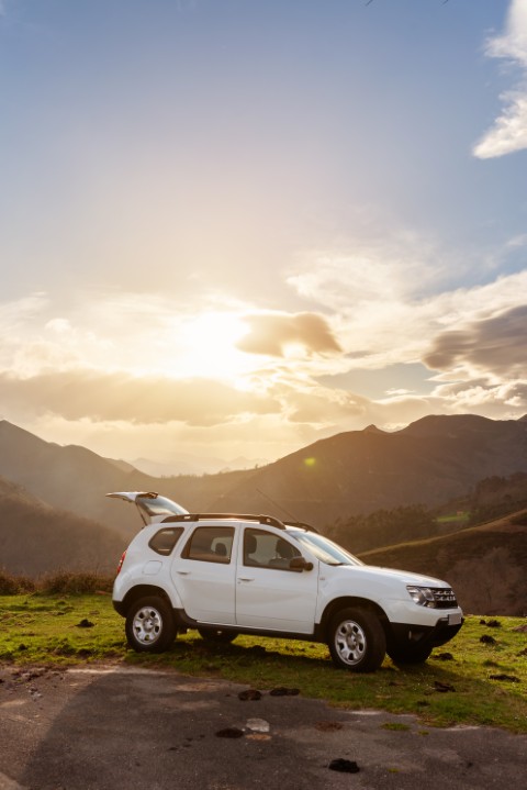 Flota diversificată pentru orice necesitate